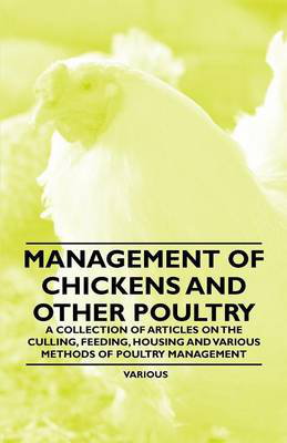 Cover art for Management of Chickens and Other Poultry A Collection of Articles on the Culling Feeding Housing and Various Methods