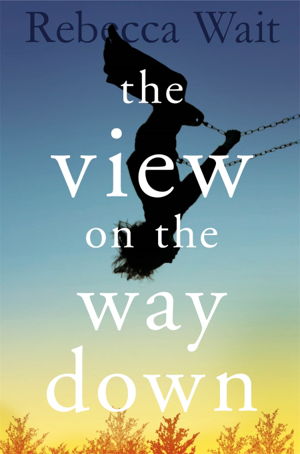 Cover art for The View on the Way Down