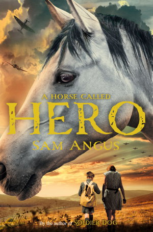 Cover art for A Horse Called Hero