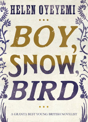 Cover art for Boy Snow Bird
