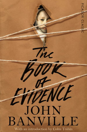 Cover art for The Book of Evidence