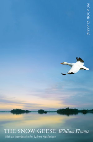 Cover art for Snow Geese