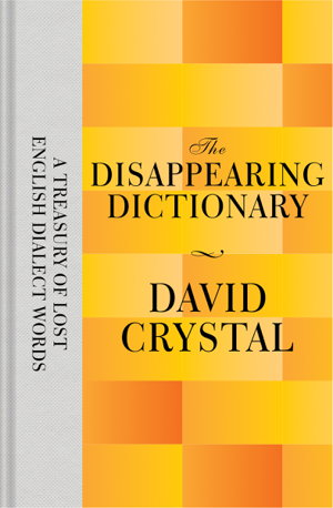 Cover art for Disappearing Dictionary