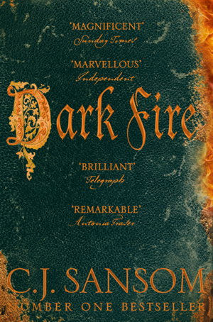 Cover art for Dark Fire