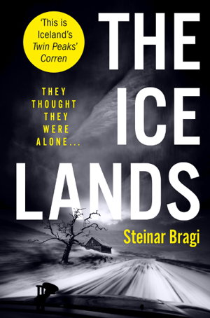 Cover art for The Ice Lands