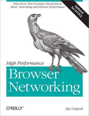 Cover art for High Performance Browser Networking