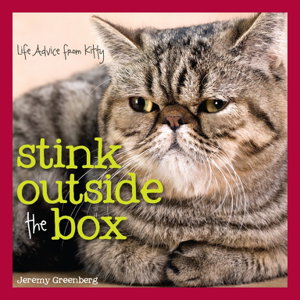 Cover art for Stink Outside the Box