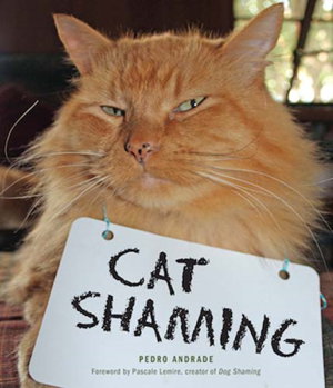 Cover art for Cat Shaming