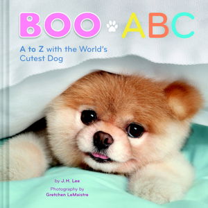 Cover art for Boo ABC