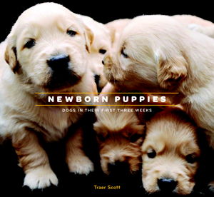 Cover art for Newborn Puppies