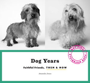 Cover art for Dog Years