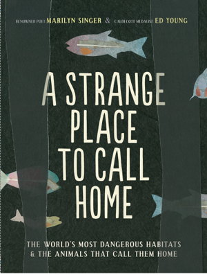 Cover art for A Strange Place to Call Home