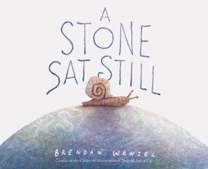 Cover art for A Stone Sat Still