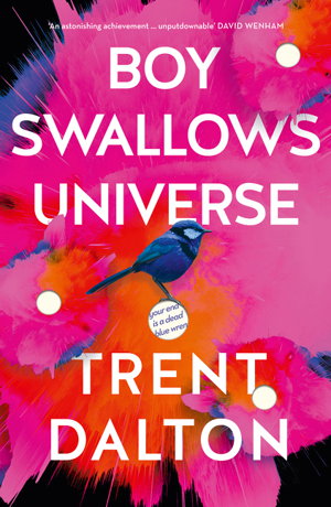 Cover art for Boy Swallows Universe