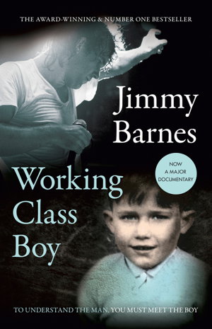 Cover art for Working Class Boy