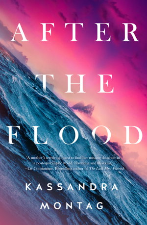 Cover art for After The Flood