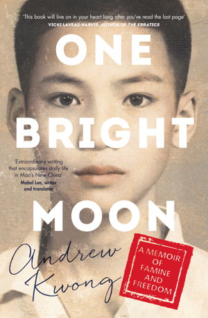Cover art for One Bright Moon