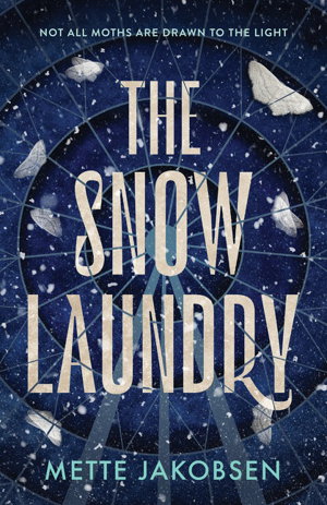 Cover art for Snow Laundry (The Tower, #1)