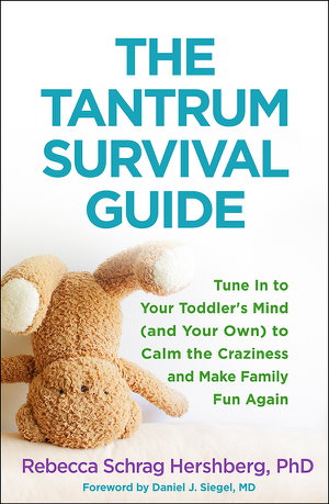 Cover art for The Tantrum Survival Guide