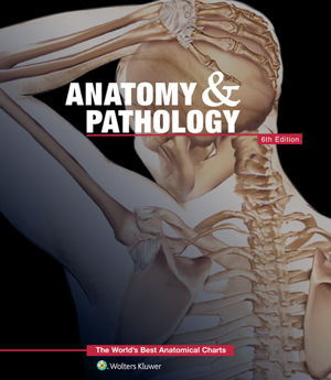 Cover art for Anatomy & Pathology The World's Best Anatomical Charts Book