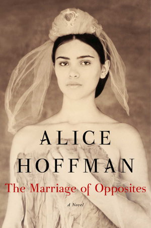 Cover art for Marriage of Opposites