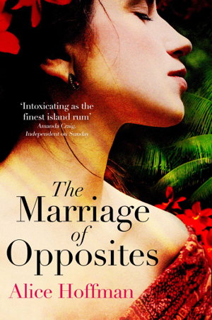 Cover art for Marriage of Opposites