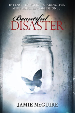 Cover art for Beautiful Disaster