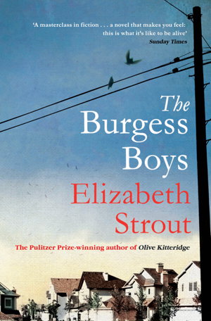 Cover art for Burgess Boys