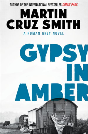 Cover art for Gypsy in Amber