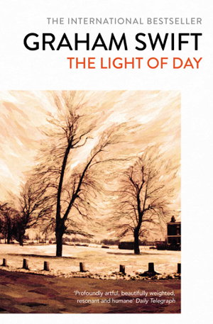 Cover art for Light of Day