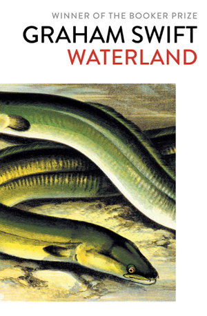 Cover art for Waterland