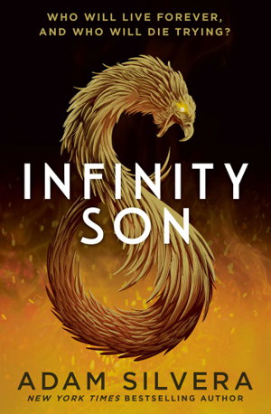 Cover art for Infinity Son