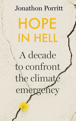 Cover art for Hope in Hell