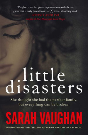 Cover art for Little Disasters