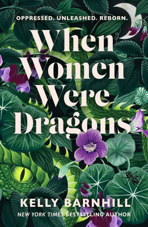 Cover art for When Women Were Dragons