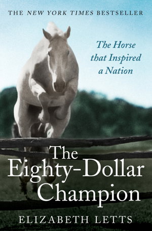 Cover art for Eighty Dollar Champion