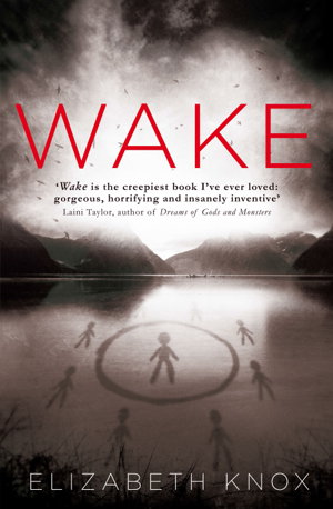 Cover art for Wake