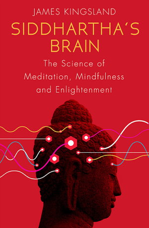 Cover art for Siddhartha's Brain
