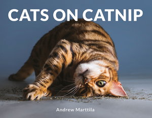 Cover art for Cats on Catnip