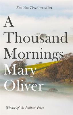 Cover art for A Thousand Mornings