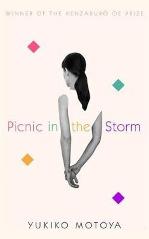 Cover art for Picnic in the Storm
