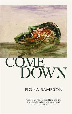 Cover art for Come Down