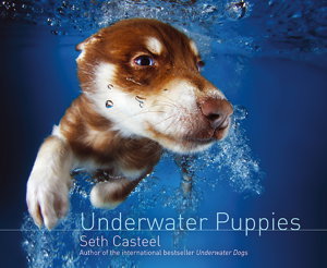 Cover art for Underwater Puppies