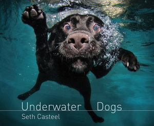 Cover art for Underwater Dogs