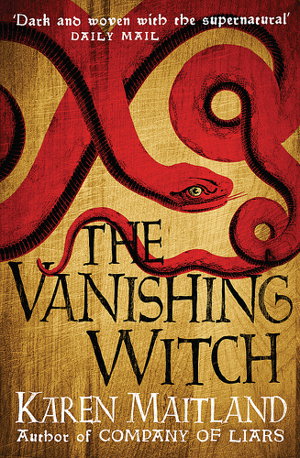 Cover art for The Vanishing Witch