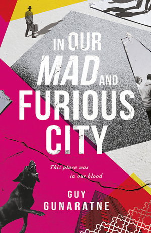 Cover art for In Our Mad and Furious City