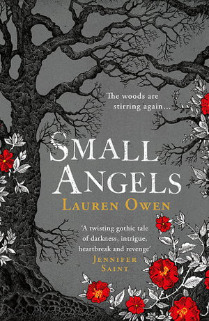 Cover art for Small Angels