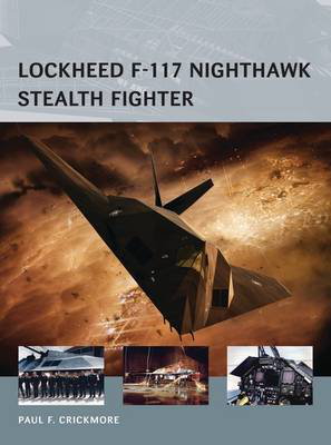 Cover art for Lockheed F-117 Nighthawk Stealth Fighter