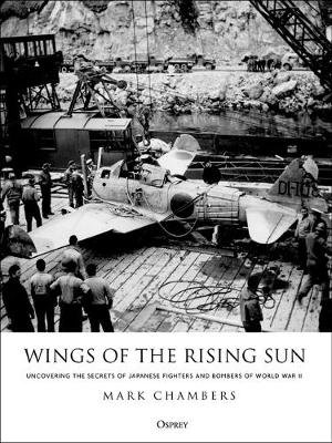 Cover art for Wings of the Rising Sun