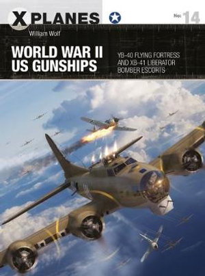 Cover art for World War II US Gunships